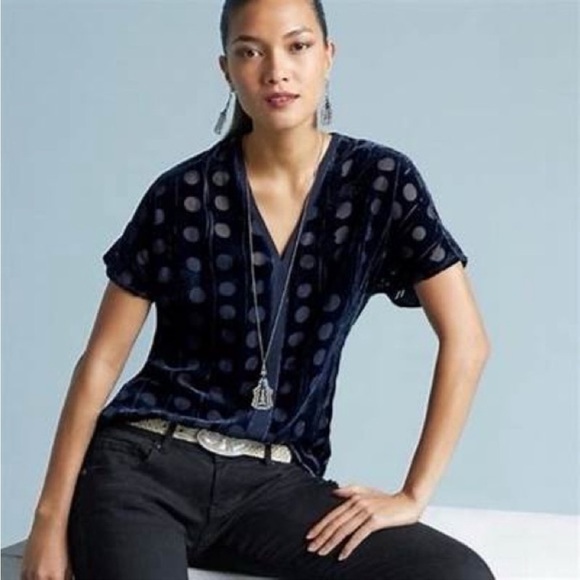 Cabi Spot On Blouse 3507 Blue Velvet Sheer Burnout V-neck Polka Dot top Size M - Picture 1 of 6